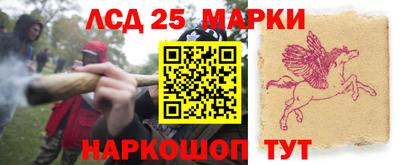 МДПВ Канаш