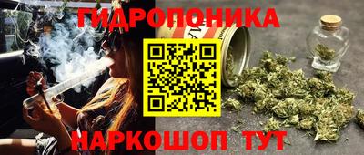 марихуана Кандалакша