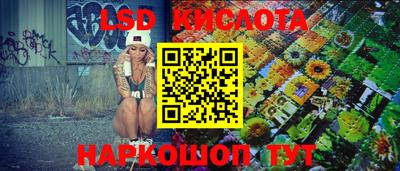PSILOCYBIN Камышлов