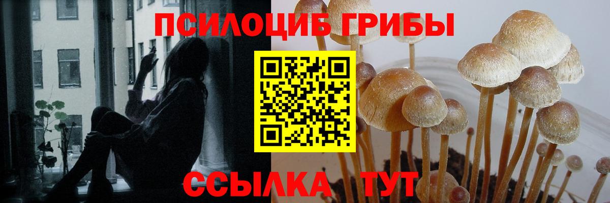 Галлюциногенные грибы GOLDEN TEACHER Кушва